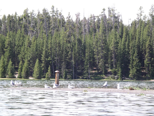 images/C- Kayak returning to Marina (2).jpg